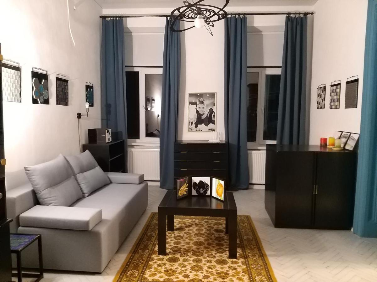 Затишна Квартира В Історичному Центрі Міста Csernyivci Kültér fotó